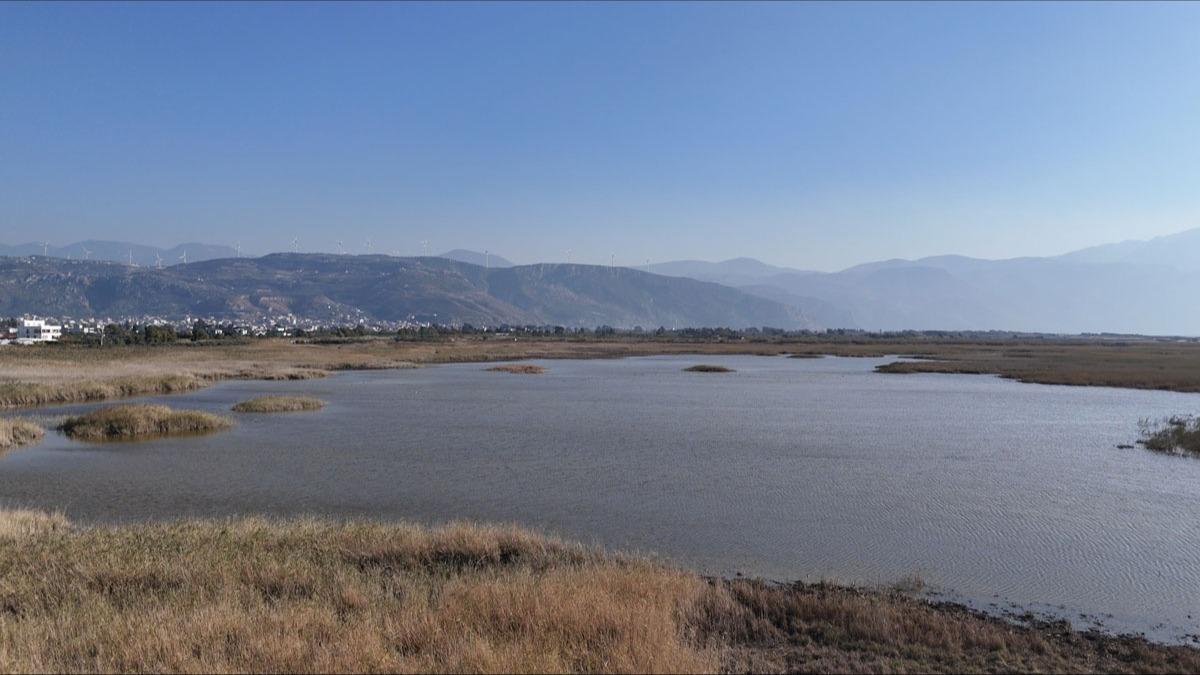 ''Milleyha Kuş Cenneti'' için koruma kararı
