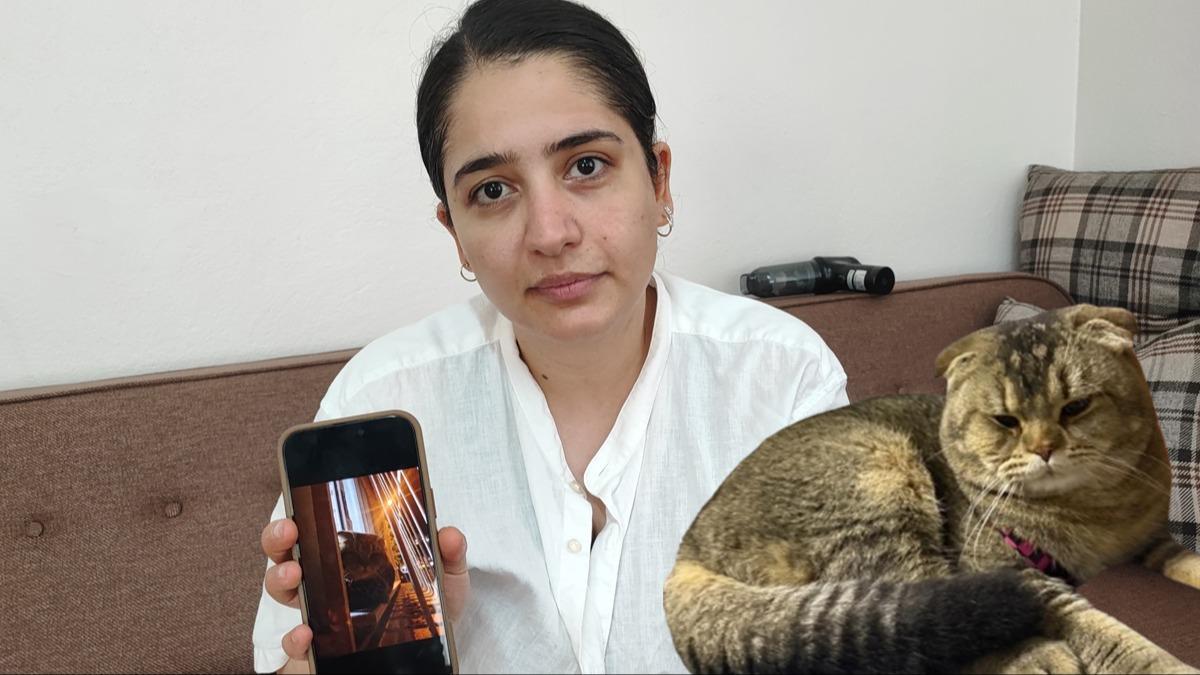 Anlatrken gzyalarn tutamad... Kayp kedi evliliini tehlikeye att!  