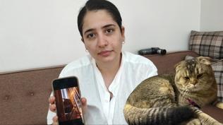Anlatırken gözyaşlarını tutamadı... Kayıp kedi evliliğini tehlikeye attı!