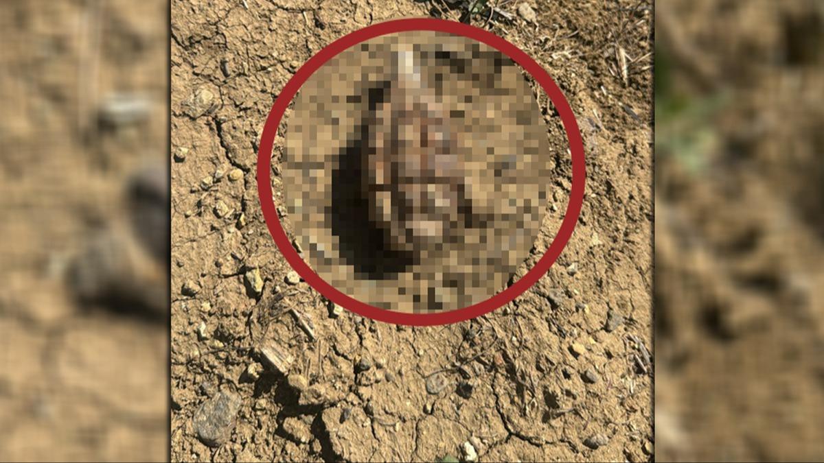 104 yl sonra bulundu! Sakarya Meydan Muharebesi'nden kald tahmin ediliyor
