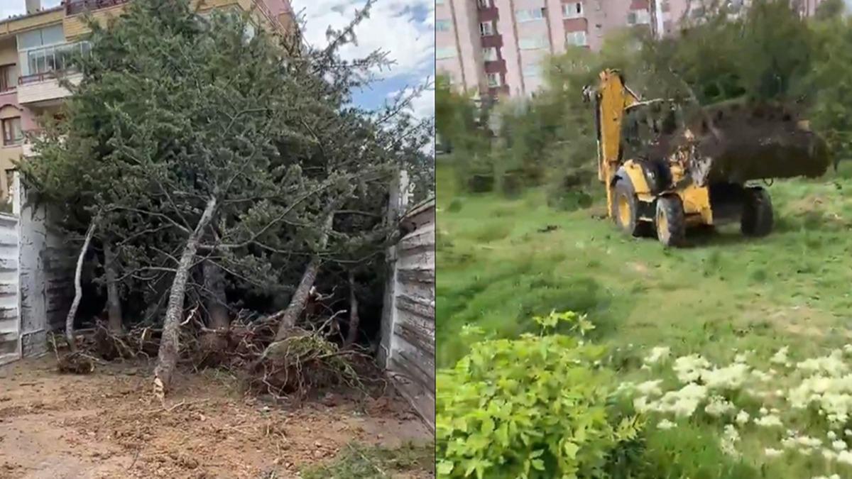 Szde evreciler sessizlie brnd! CHP'li belediyeden aa katliam