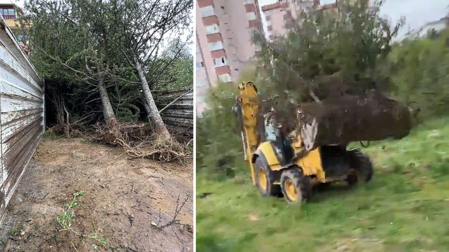 Ankara'nın göbeğinde ağaç katliamı Vatandaşlar tepkili: Sökerse CHP söker