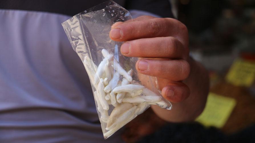 Sivas'ta yetişiyor, fiyatı altınla yarışıyor