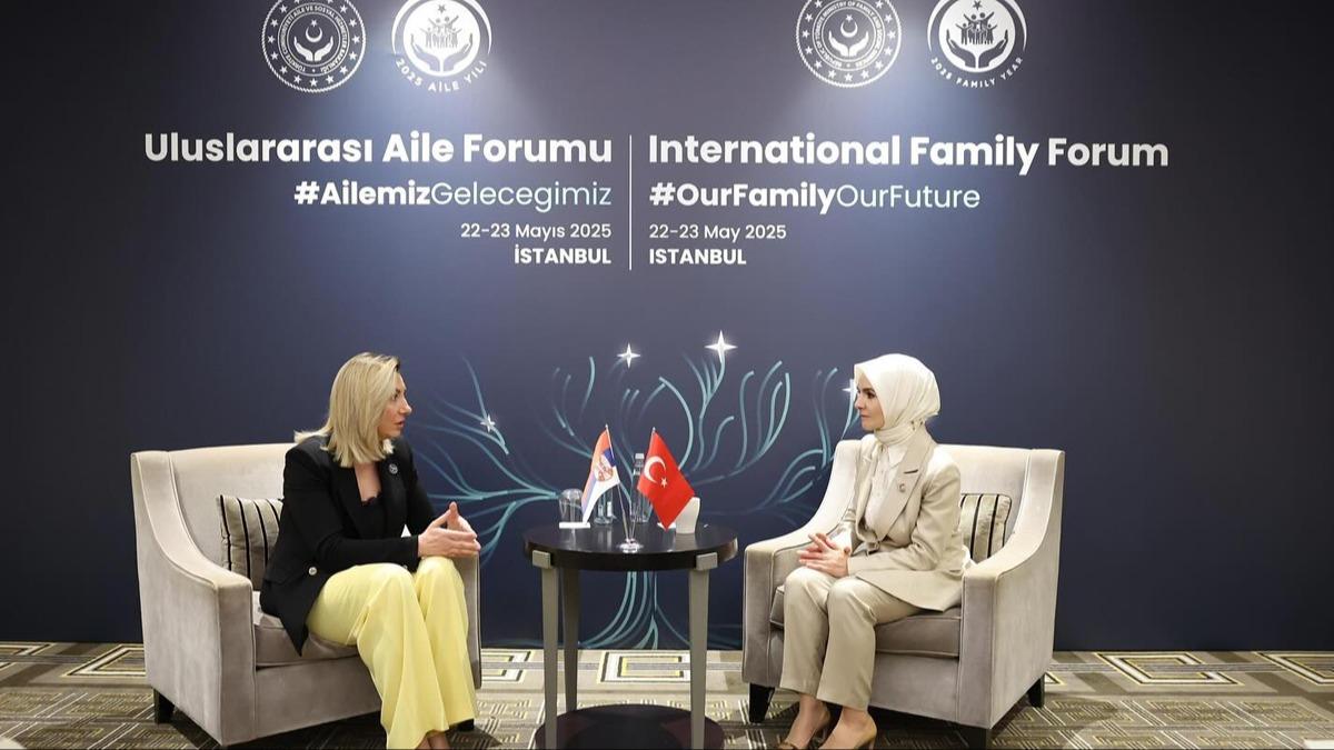 Srp bakandan Trkiye'ye vg dolu szler