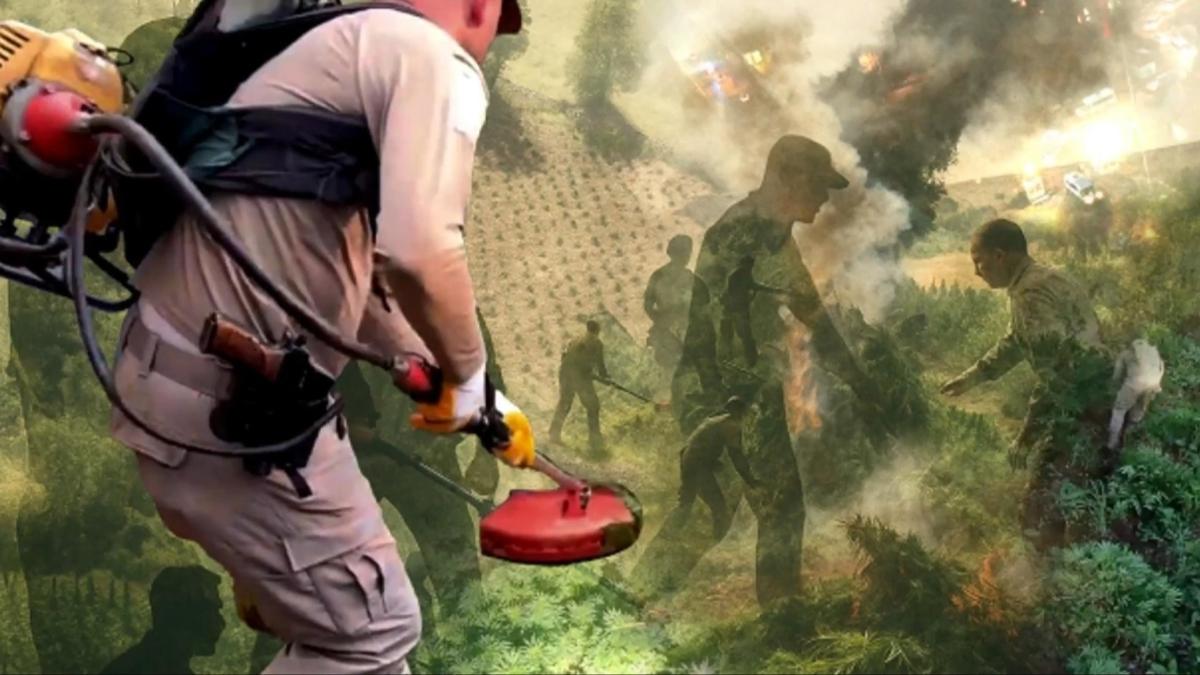 Diyarbakr'da HA'l operasyon: 3 milyon 476 bin adet kk kenevir ve skunk ele geirildi