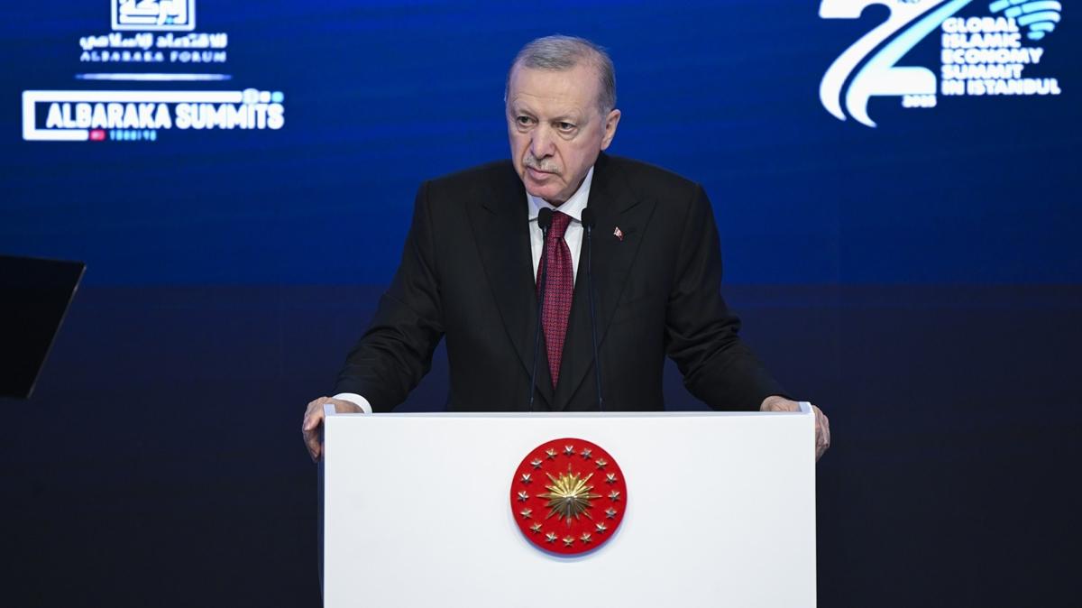 Cumhurbakan Erdoan: Muhalefet her frsatta milleti hanerliyor