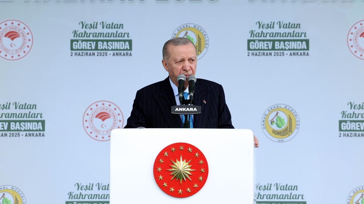 Başkan Erdoğan'dan belediyelere tepki: Reklama, konsere var yangına yok, bunun hiçbir açıklaması olamaz