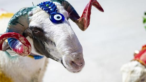 Kurban Bayram mesajlar| Resimli, anlaml, dual kurban bayram mesajlar