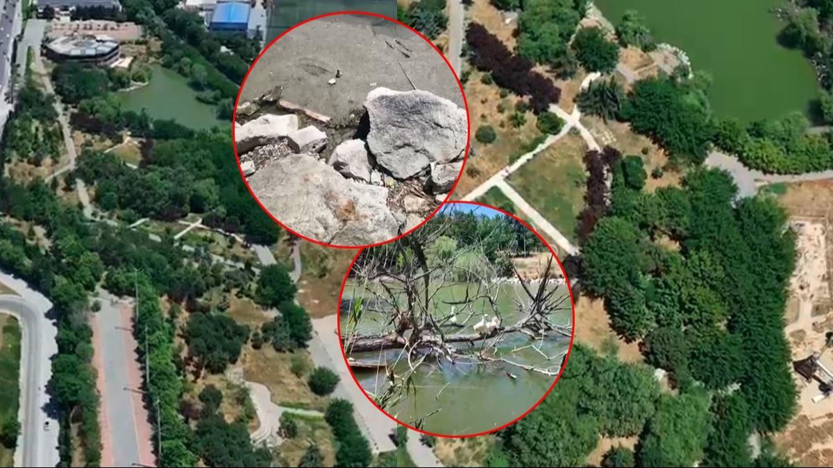 CHP'den saldm ayra belediyecilii! Botanik Park' kaderine terk etti