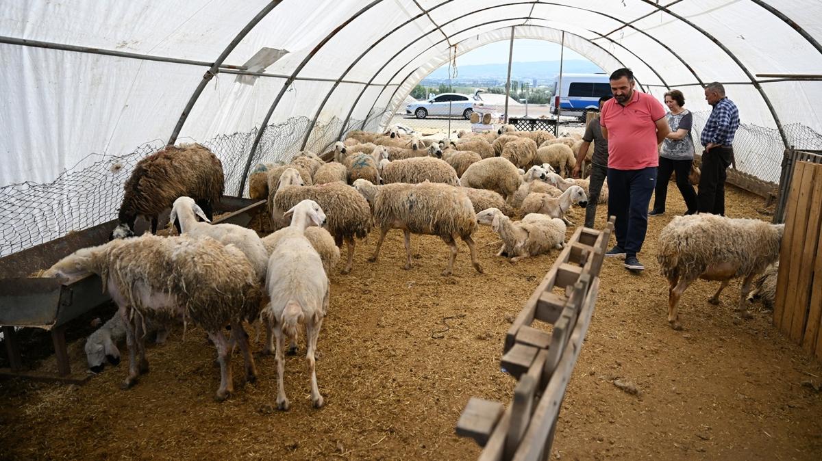 Elde kalan kurbanlklar ESK satn alacak... Bakan Yumakl yeni uygulamay duyurdu