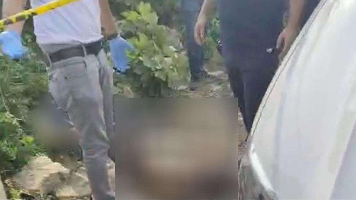 Adana'da drenaj kanalnda pheli lm