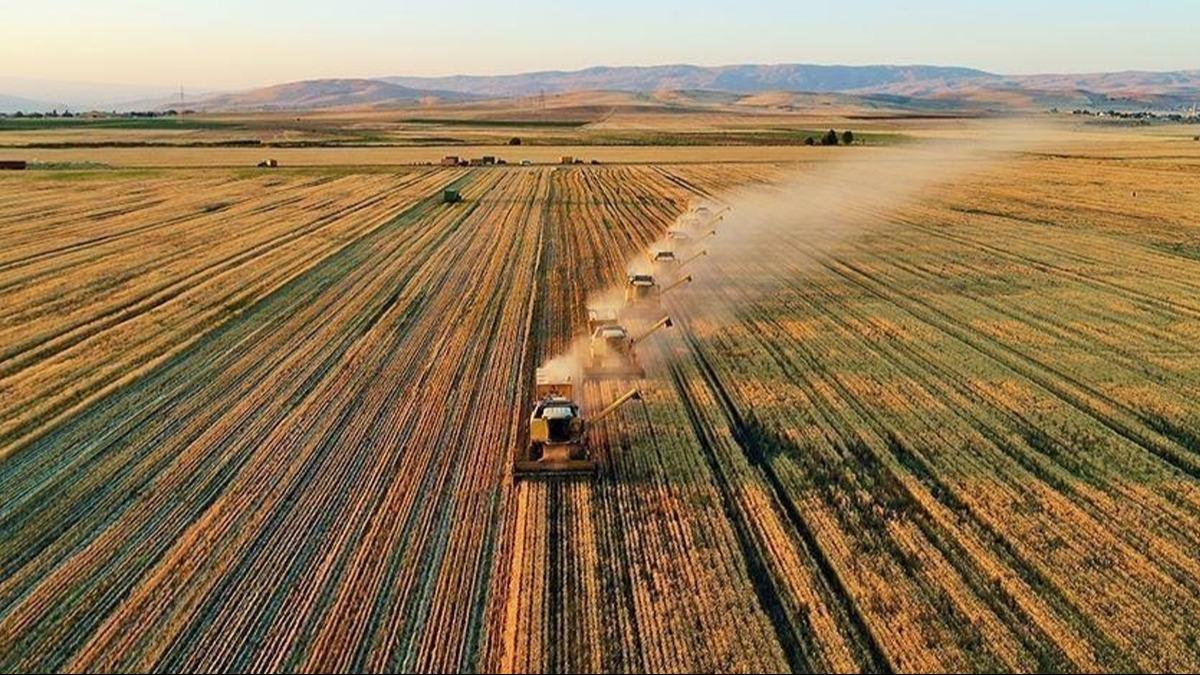 Tarmda nefes aldran destek: 262 Milyon TL iftilerin hesaplarna yatacak
