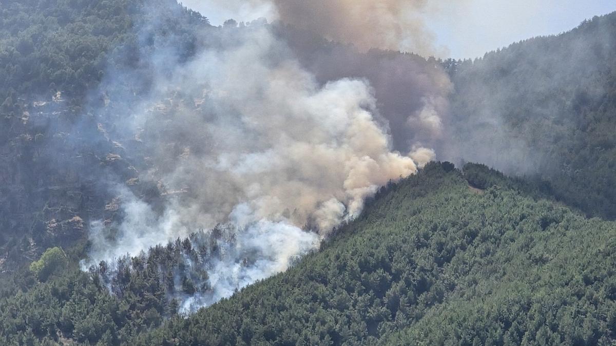 Hatay'daki orman yangn kontrol altnda 