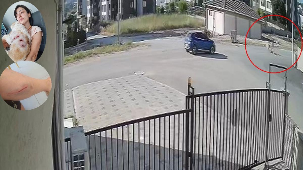 Babo kpekler deheti yaatt... ''Bacamn arkasn kopardlar'' 