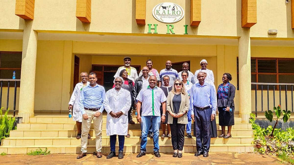 TKA, Kenya'da ''Hasat Sonras leme Merkezi'' kurdu