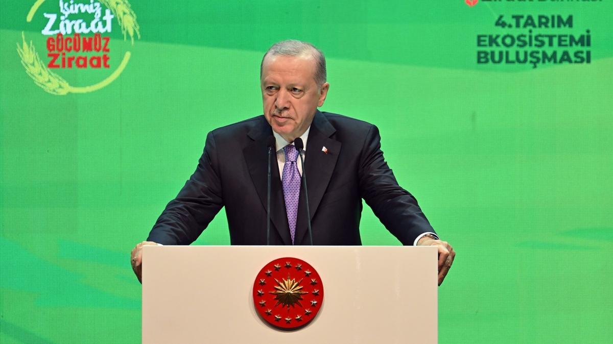 Cumhurbakan Erdoan'dan muhalefete tepki: aibeyle yatp butlanla kalkyorlar