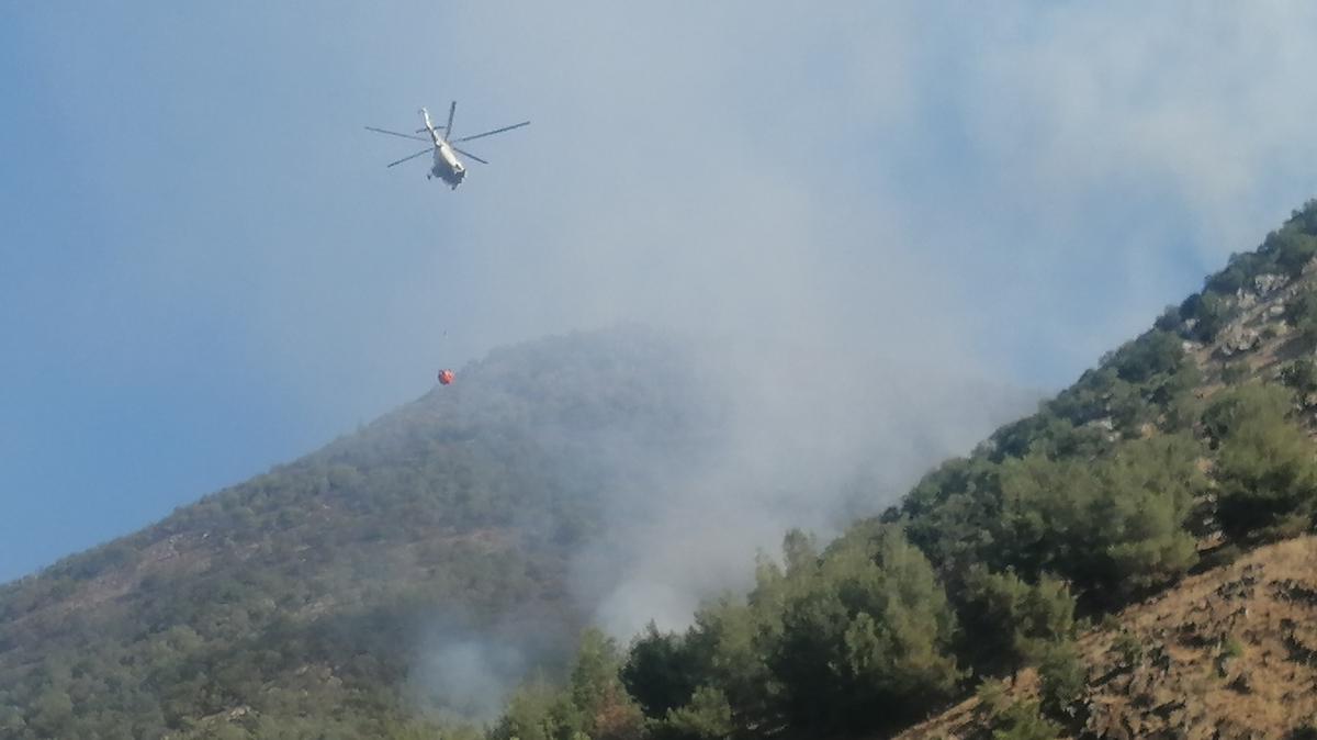 Kahramanmara'taki orman yangnna havadan ve karadan mdahale sryor