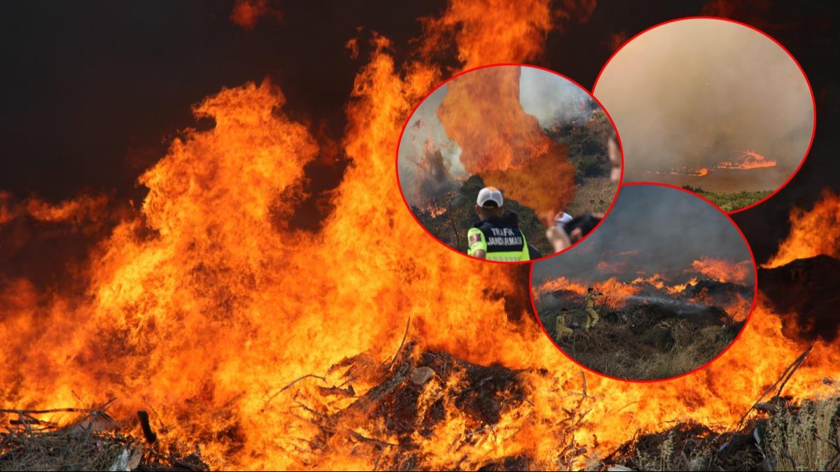 Yangnlar geni alana yayld! Bakan Yumakl: 16 ky boaltld