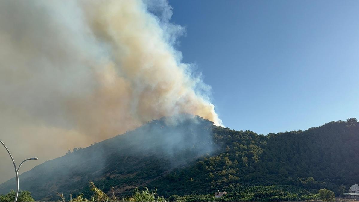 Antalya'nn Gazipaa ilesinde kan orman yangn kontrol altna alnd