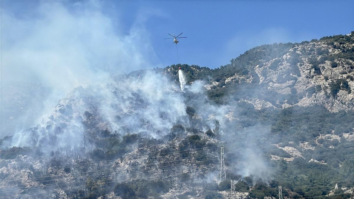 Bodrum'da kan orman yangn kontrol altna alnd