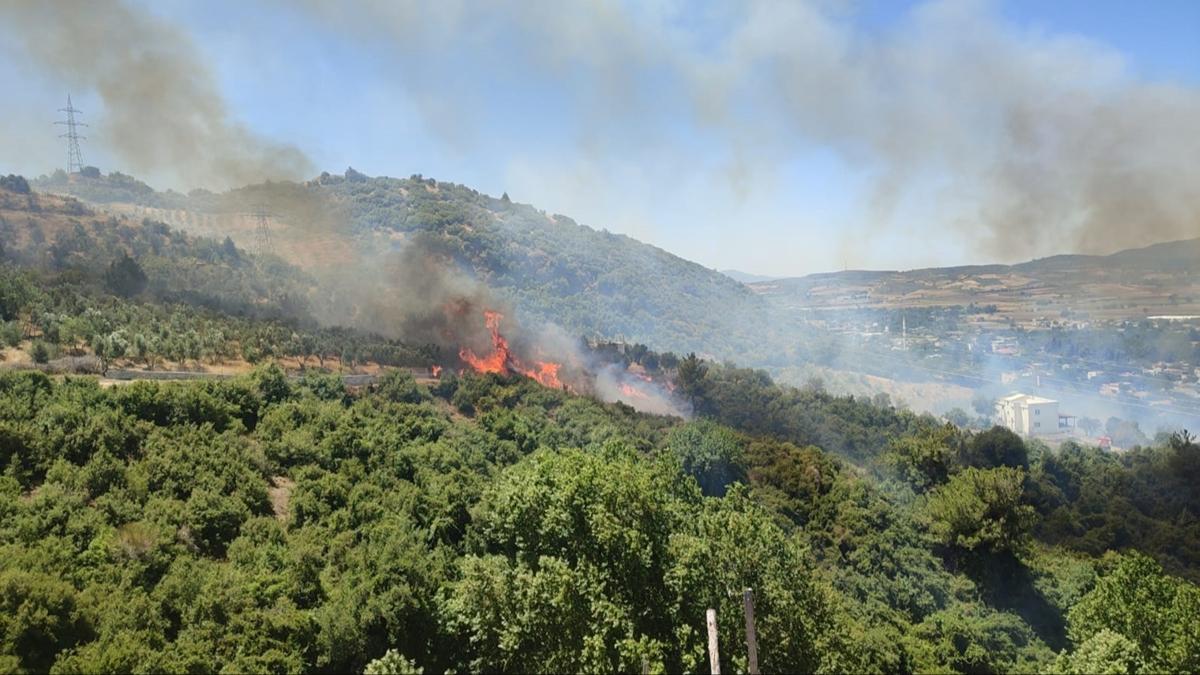 Son 3 gnde 263 orman yangn! letiim Bakanl'ndan aklama geldi