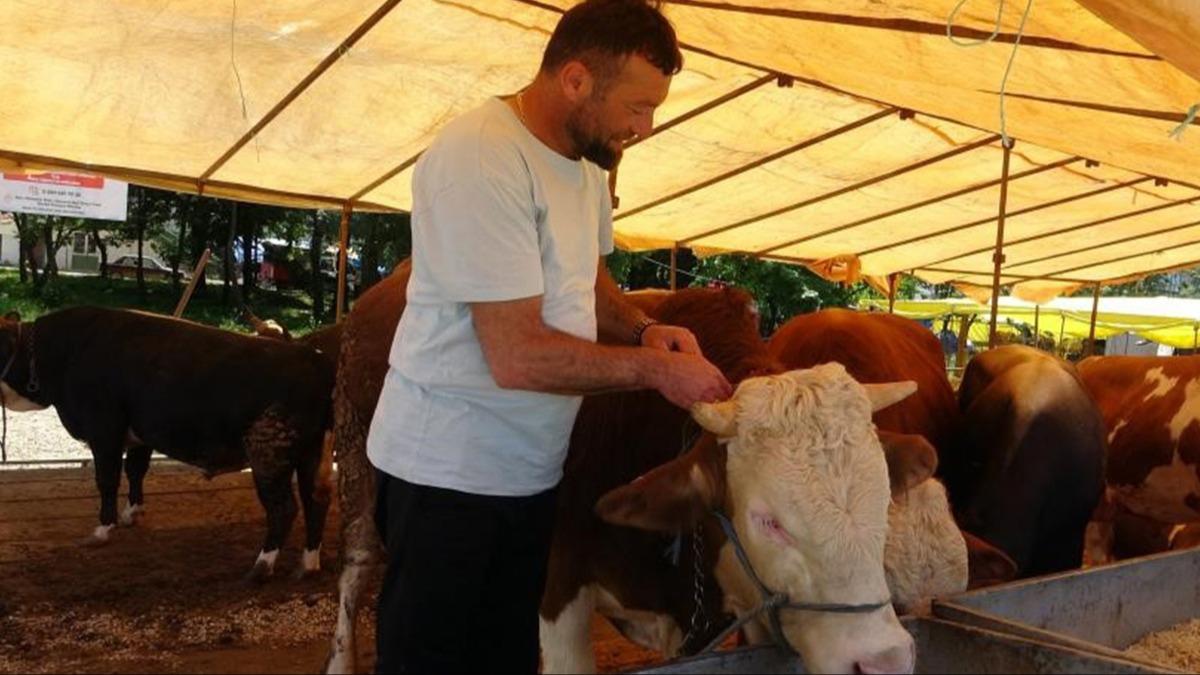 81 ile ''acele'' kodlu yaz! Tm hayvan pazarlar kapatld