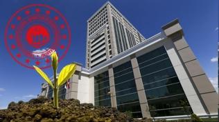 14 soruda İklim Kanunu: Bakanlık tüm merak edilenleri anlattı.