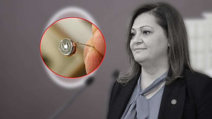 "Böcek" iddiası düzmece çıktı