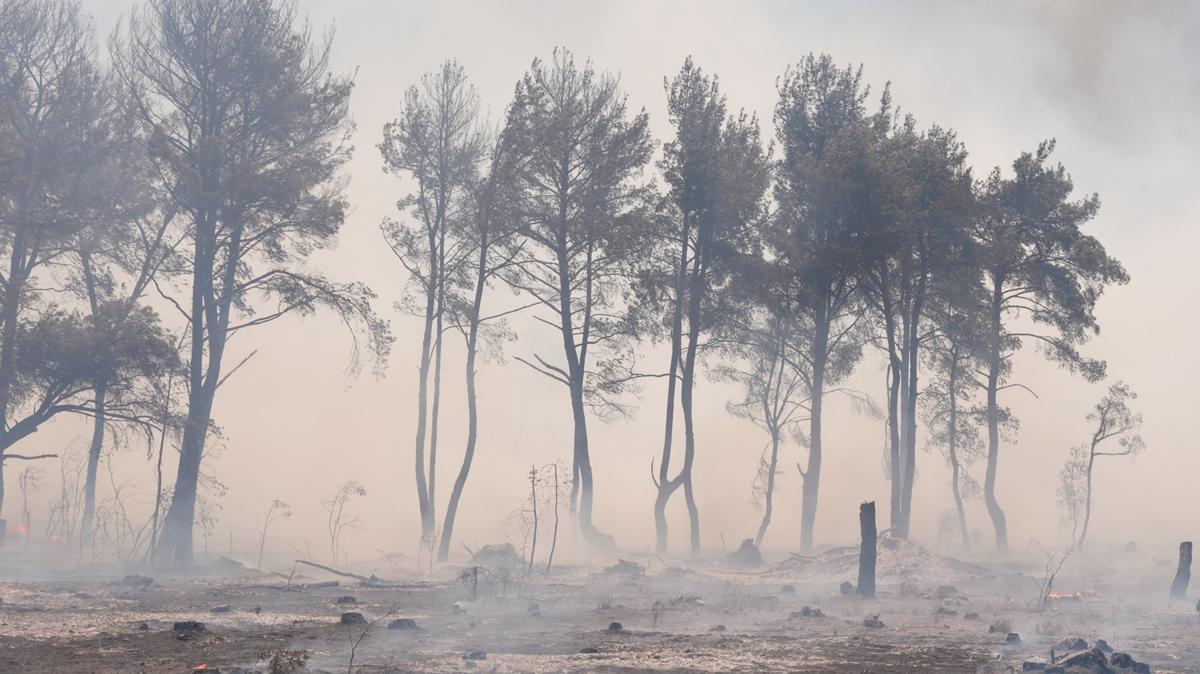 Hesab tek tek soruluyor: zmir'deki yangnlara sebep olanlar adliyeye sevk edildi