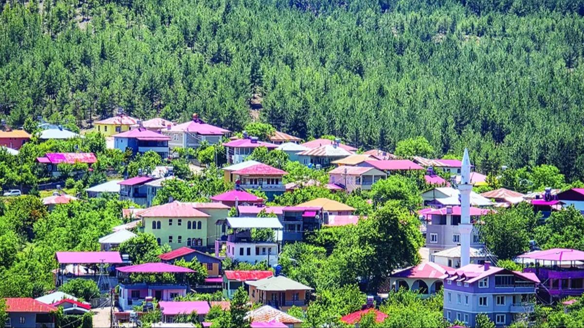 Değeri 51 milyon, vergisi 6 lira