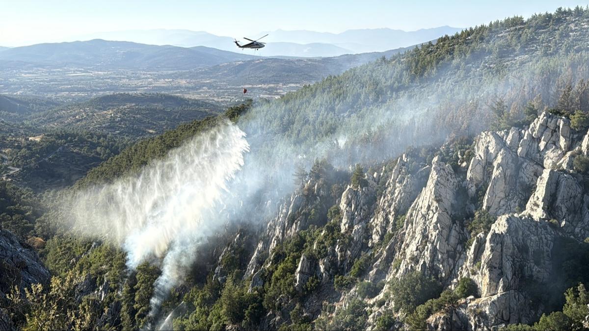 Mula Milas ve Manisa Saruhanl'daki orman yangnlar kontrol altna alnd