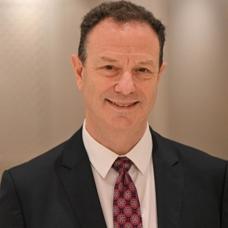 Friedman: Türkiye dünyada lider olabilir