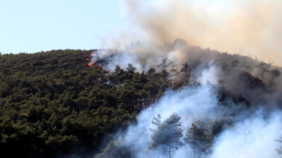 Yangn soruturmalarnda 13 kii tutukland! Bakan Tun: Yeil vatana kastedenler hesap verecek