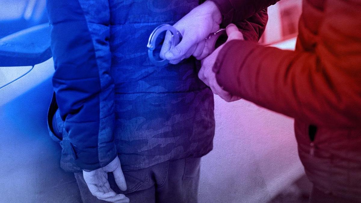 FET'nn Dileri Bakanl mahrem yaplanmasna operasyon