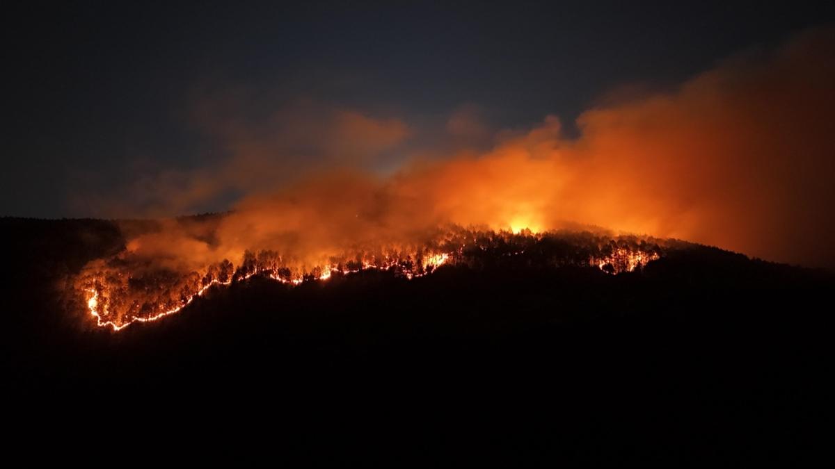 ankr'da 40 hektarlk alan kl oldu