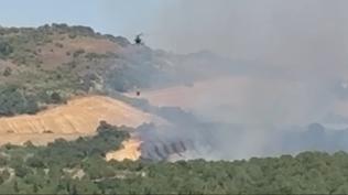 Balıkesir'de orman yangını! Havadan ve karadan ekipler müdahale ediyor