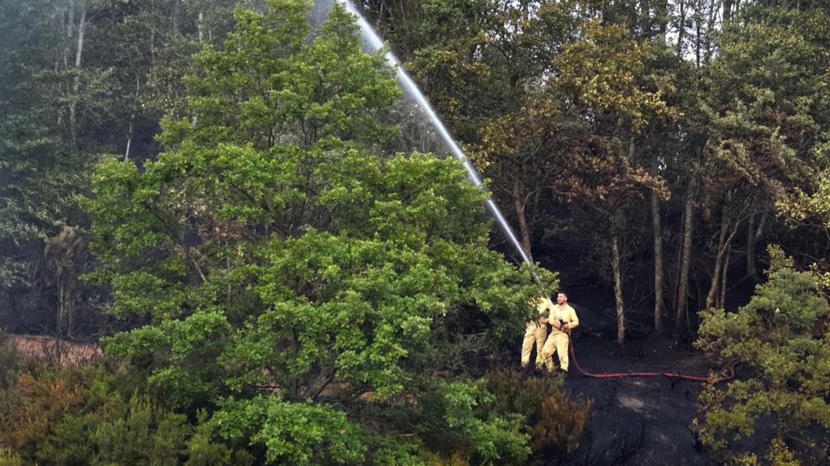 Yalova-Bursa snrnda kan orman yangn kontrol altna alnd
