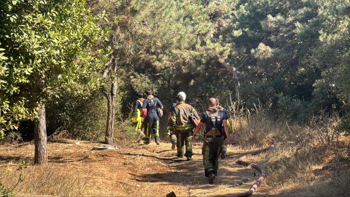 Sultangazi'de ormanlk alanda kan yangn sndrld