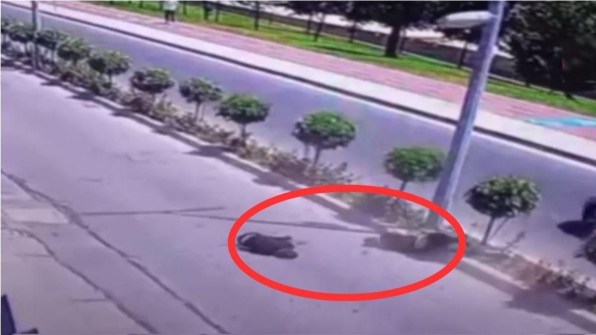 Saryer'de facia anlar kamerada: 17 yandaki gen ld, arkada ar yaraland