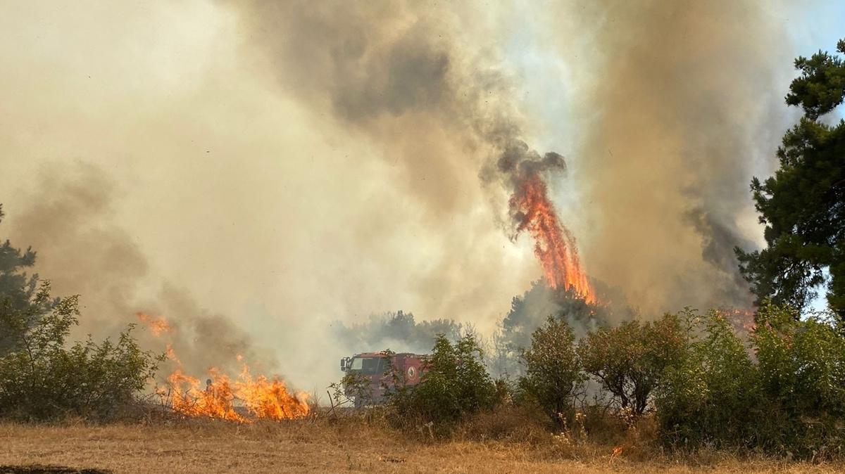 anakkale'de orman yangn kt! Mdahale ediliyor