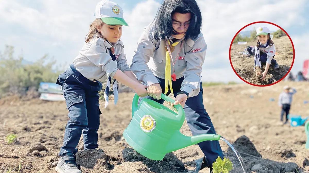 Endieler giderildi! Tanan zeytinlik iin iki kat fidan art