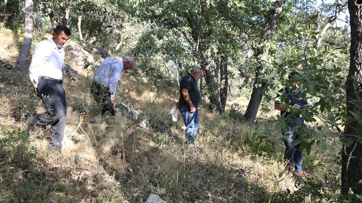 Kyller bu  bitki iin mezarlkta nbet tutuyor! 557 bin lira cezas var