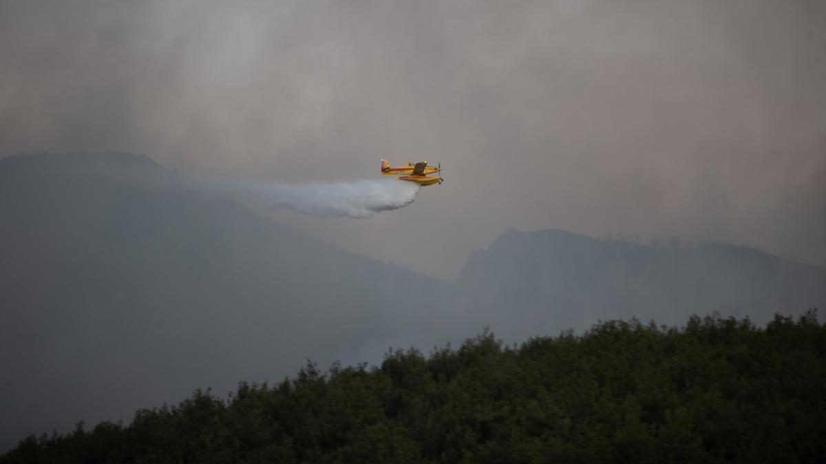 AFAD: Sakarya ve Bilecik'teki yangnlara 6 uak ve 12 helikopterle mdahale edildi