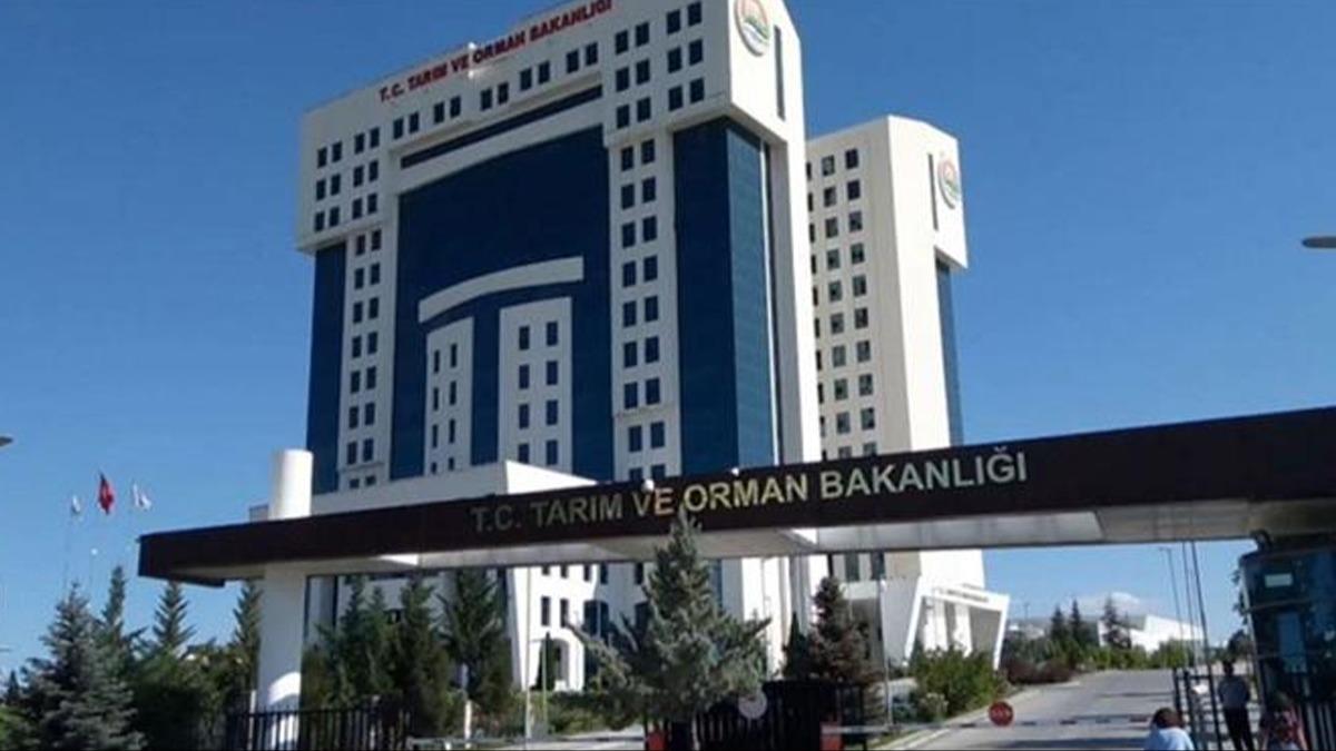 Fahri av mfettilii iin yeni art: En az lise mezunu olmak gerekecek  