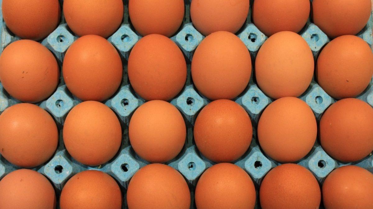Sofralk yumurta ihracatnda yeni dzenleme