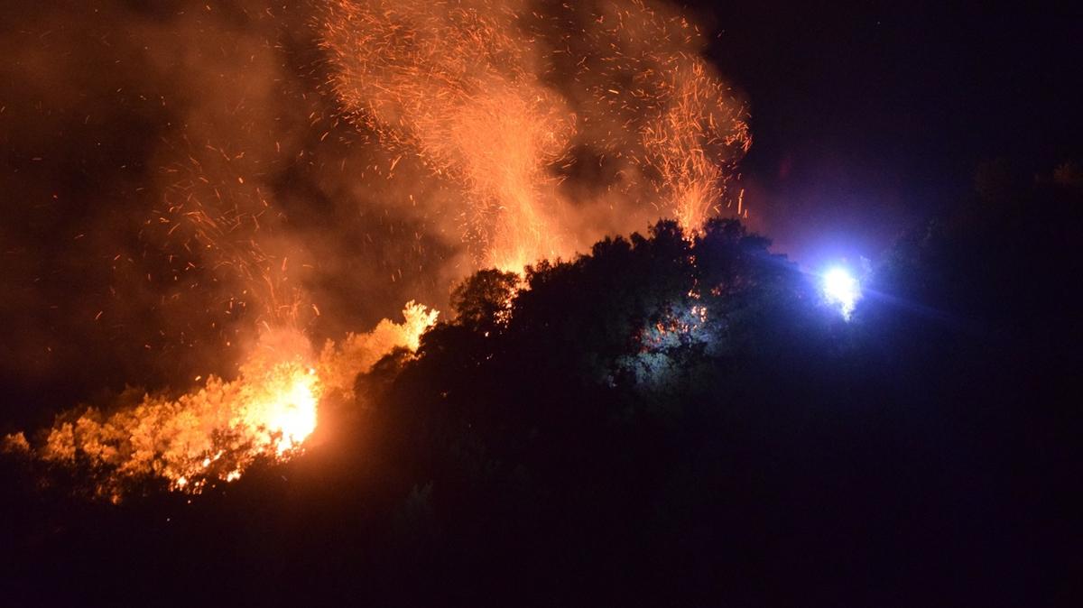 Manisa'da tarm arazisinden ormana srayan yangn kontrol altna alnd