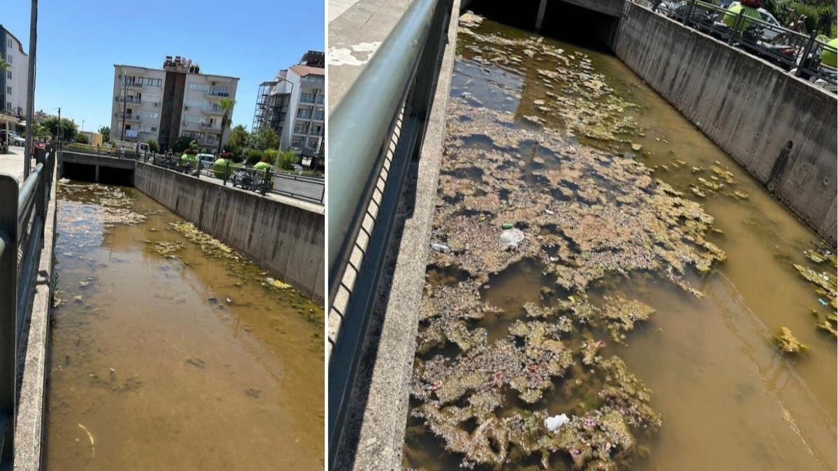 CHP'li belediyede yeni evre skandal: Kt koku ve kirlilik bktrd