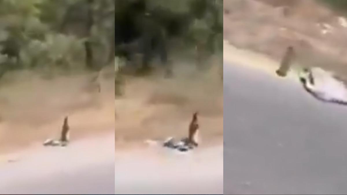 Grntler tepki toplamt! Valilikten yol kenarlarna dizilmi cam ielere ilikin aklama