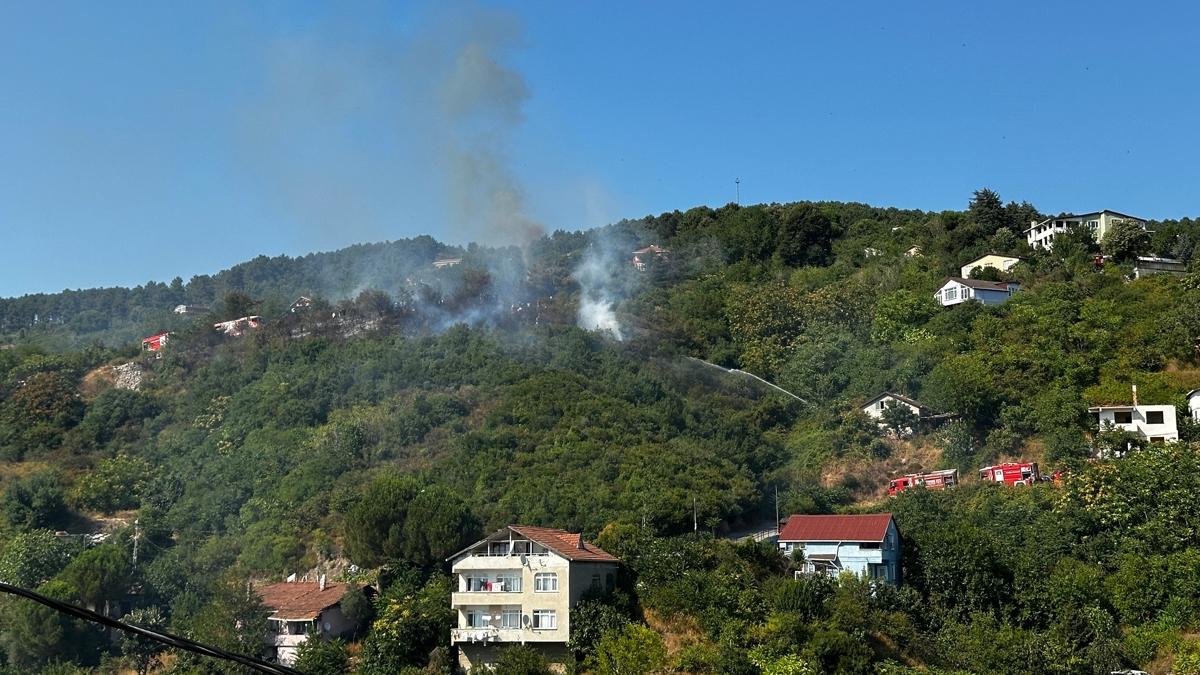 aret fiei 500 metrekarelik alan yakt: pheliden ''sner zannettim'' savunmas