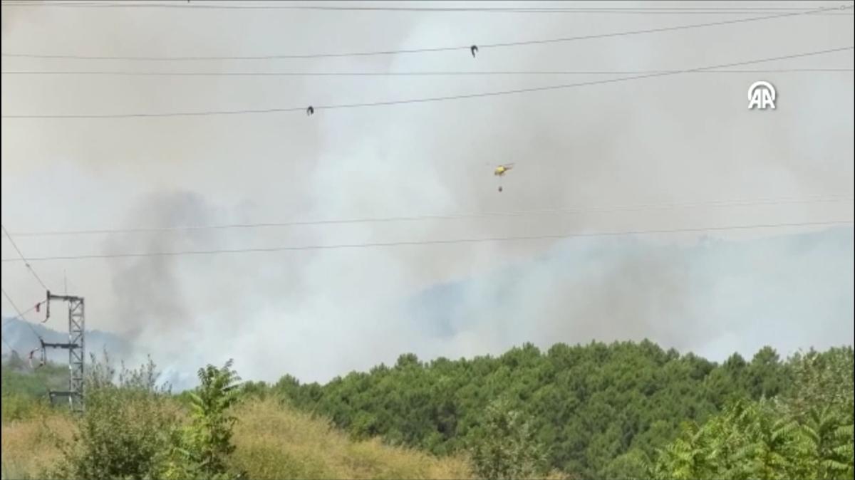 Portekiz ve spanya orman yangnlaryla mcadele ediyor